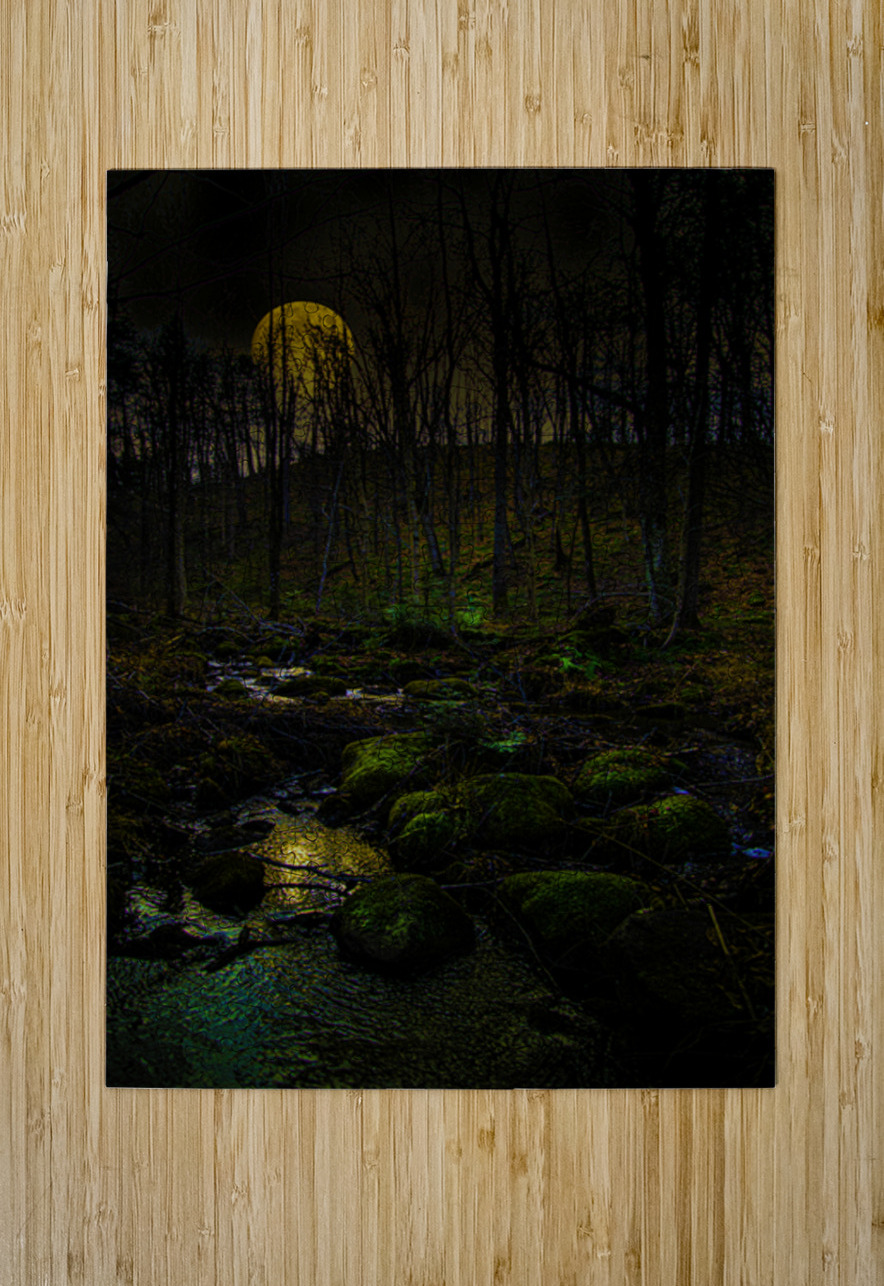 JBS 9682 James Shedden Photography Puzzle printing