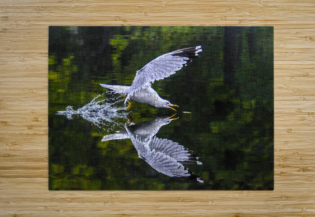 1seagull James Shedden Photography Puzzle printing