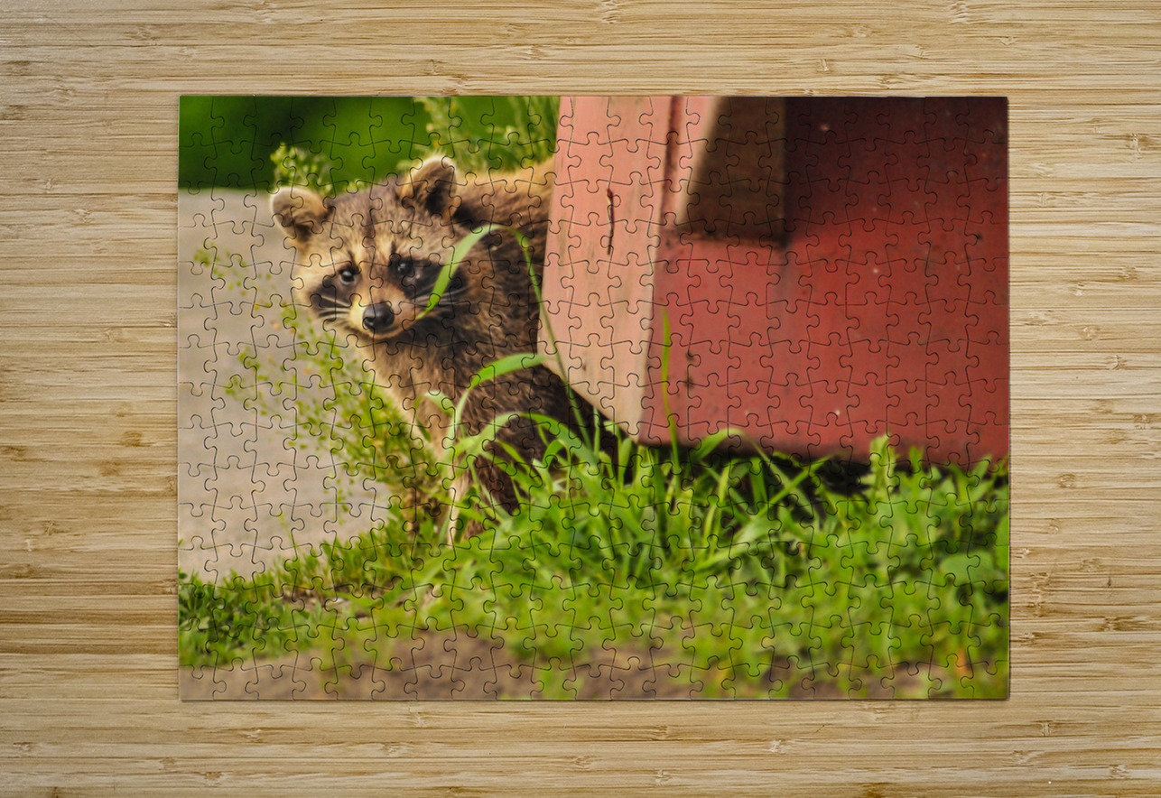 JBS 2864 James Shedden Photography Puzzle printing