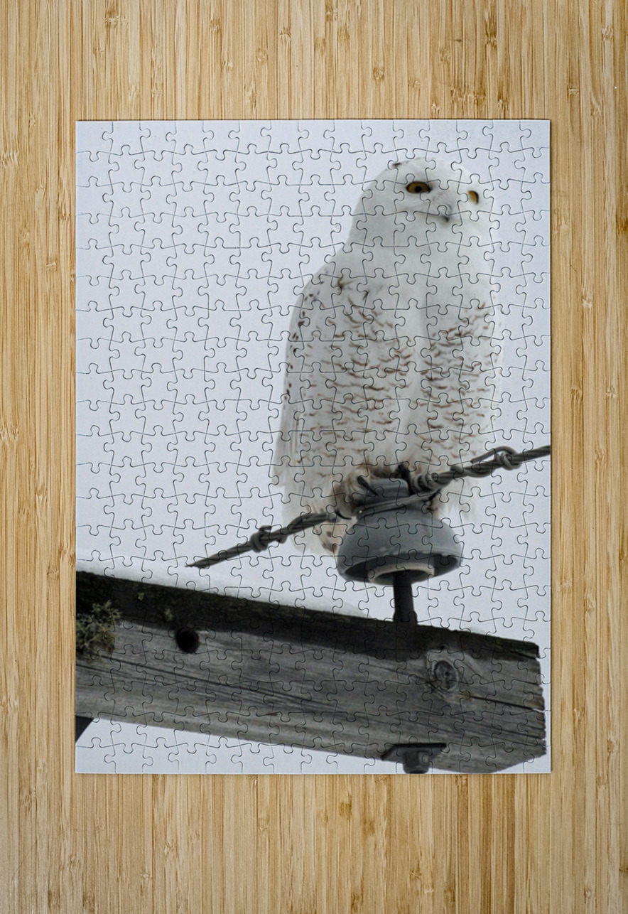 DSC 1902 James Shedden Photography Puzzle printing