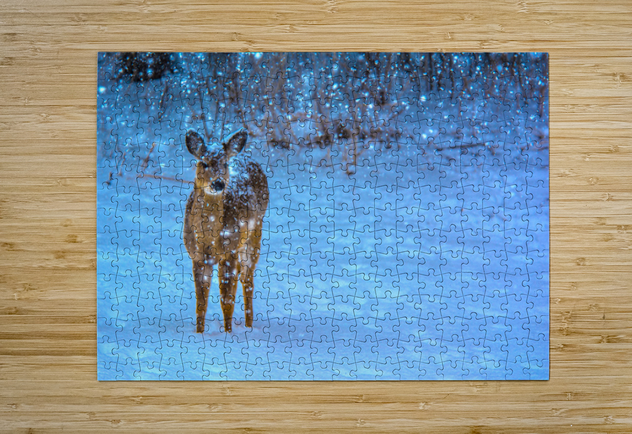 JBS 0395 James Shedden Photography Puzzle printing