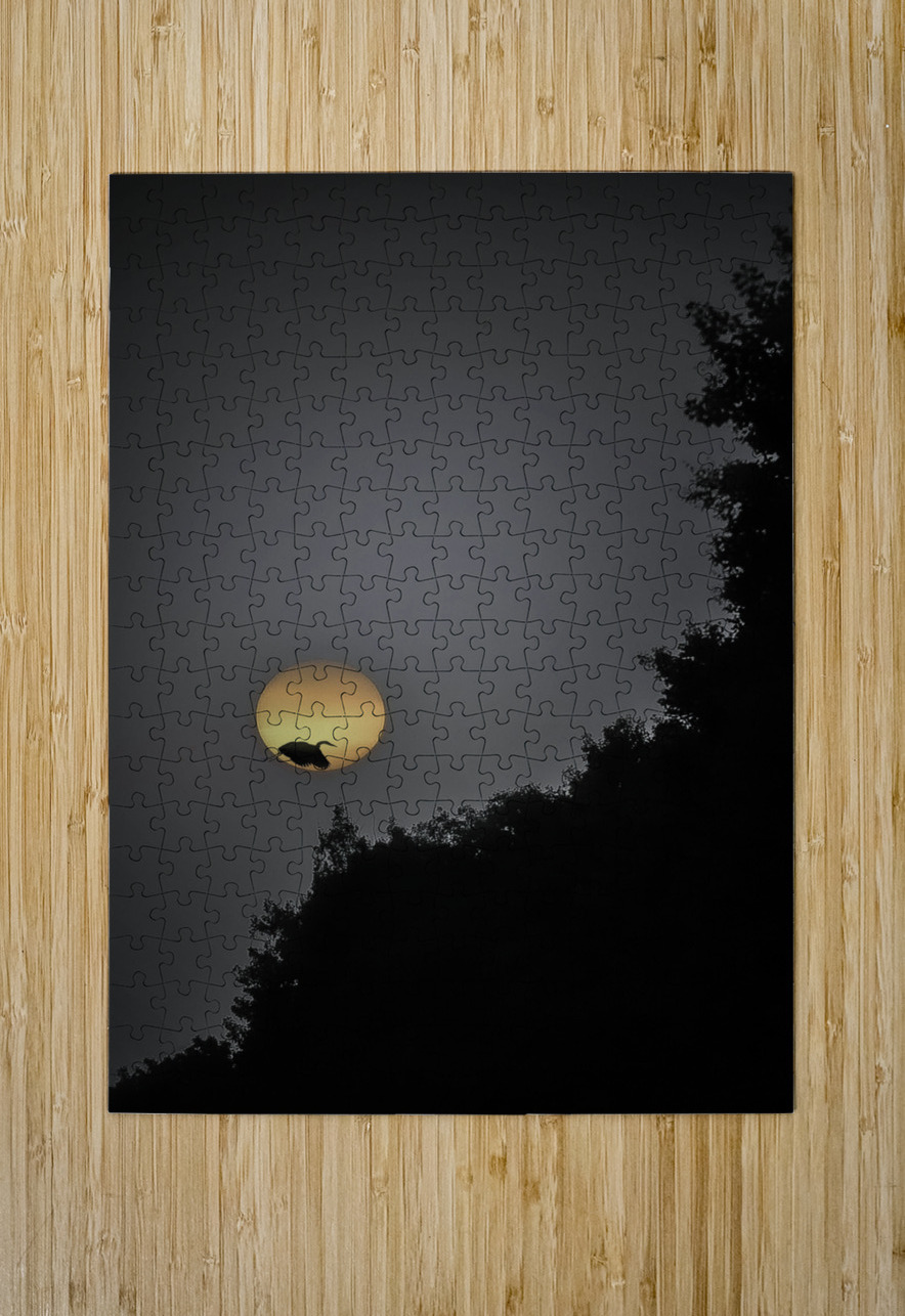 HERON SUNRISE James Shedden Photography Puzzle printing