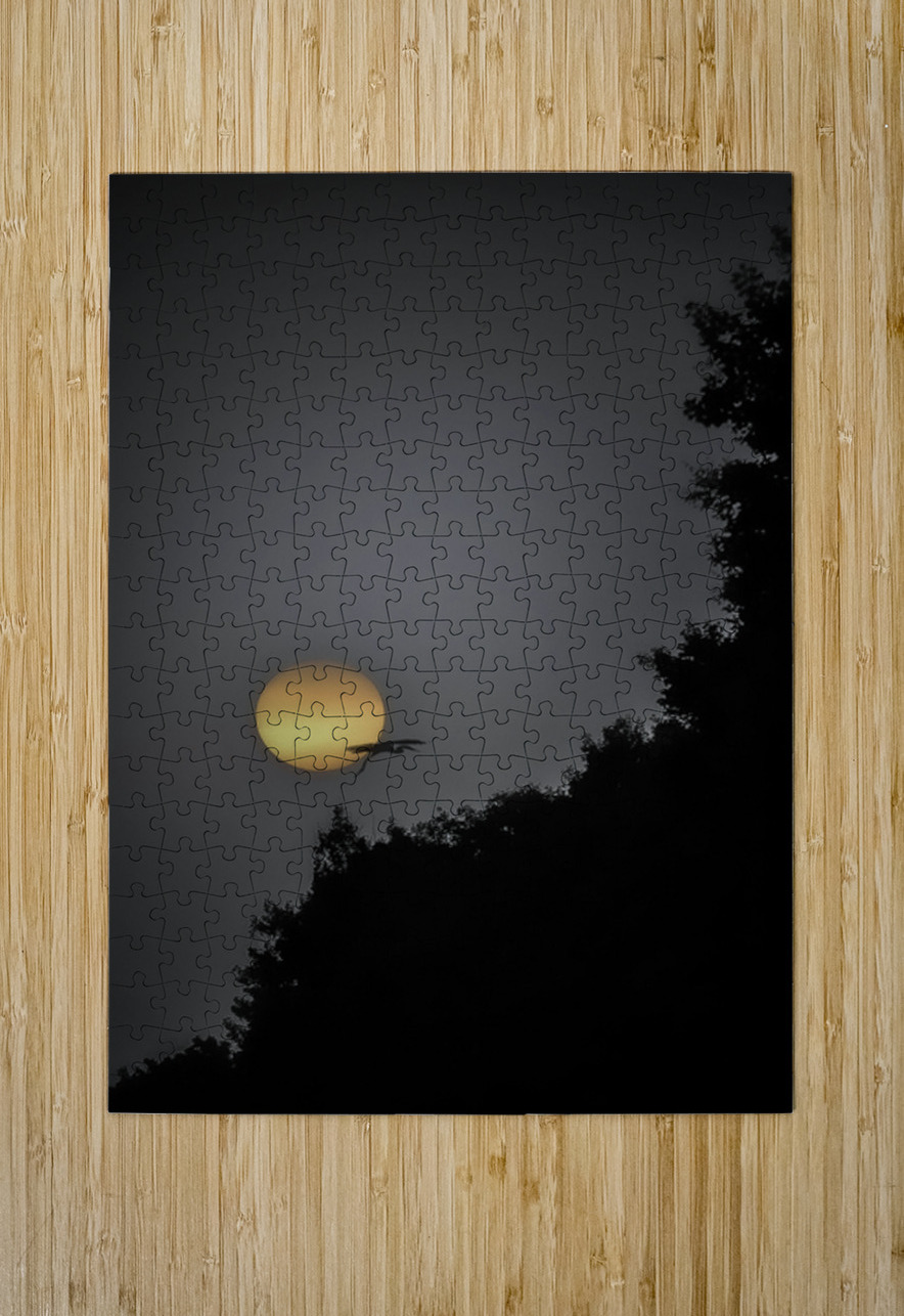 HERON SUNRISE2 James Shedden Photography Puzzle printing
