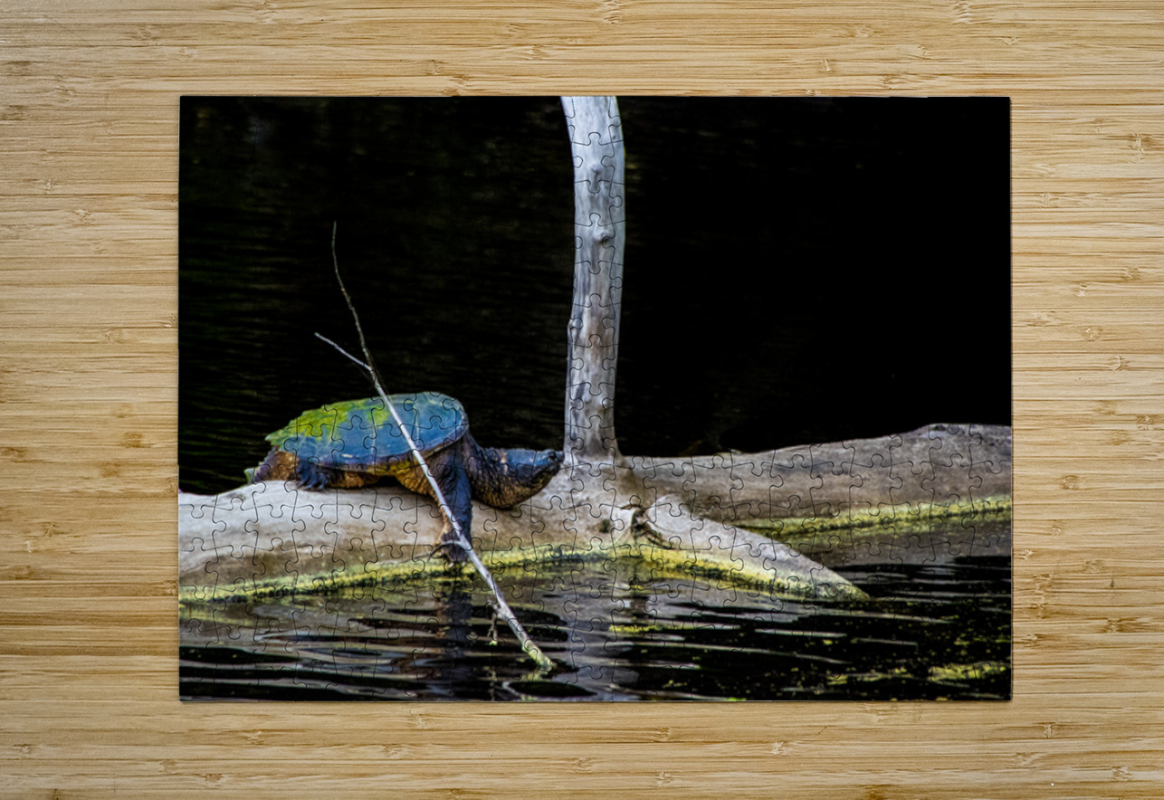 JBS 1007 James Shedden Photography Puzzle printing