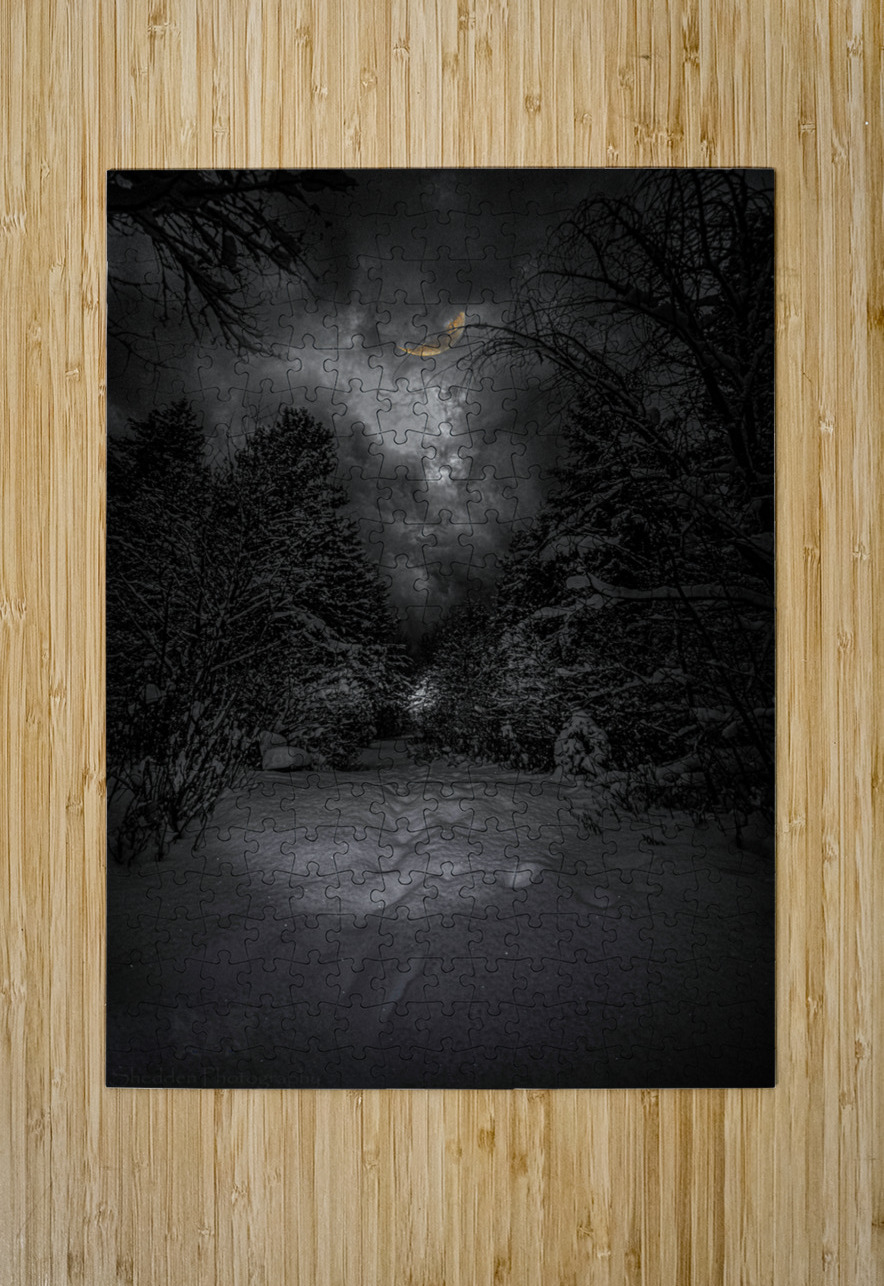 Z62 0237  James Shedden Photography Puzzle printing