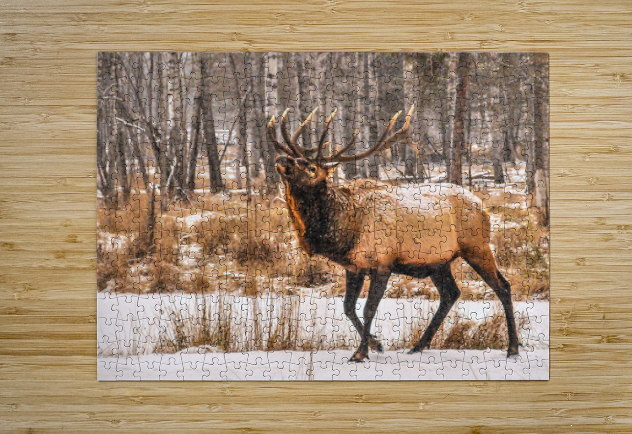 JBS 4996  James Shedden Photography Puzzle printing