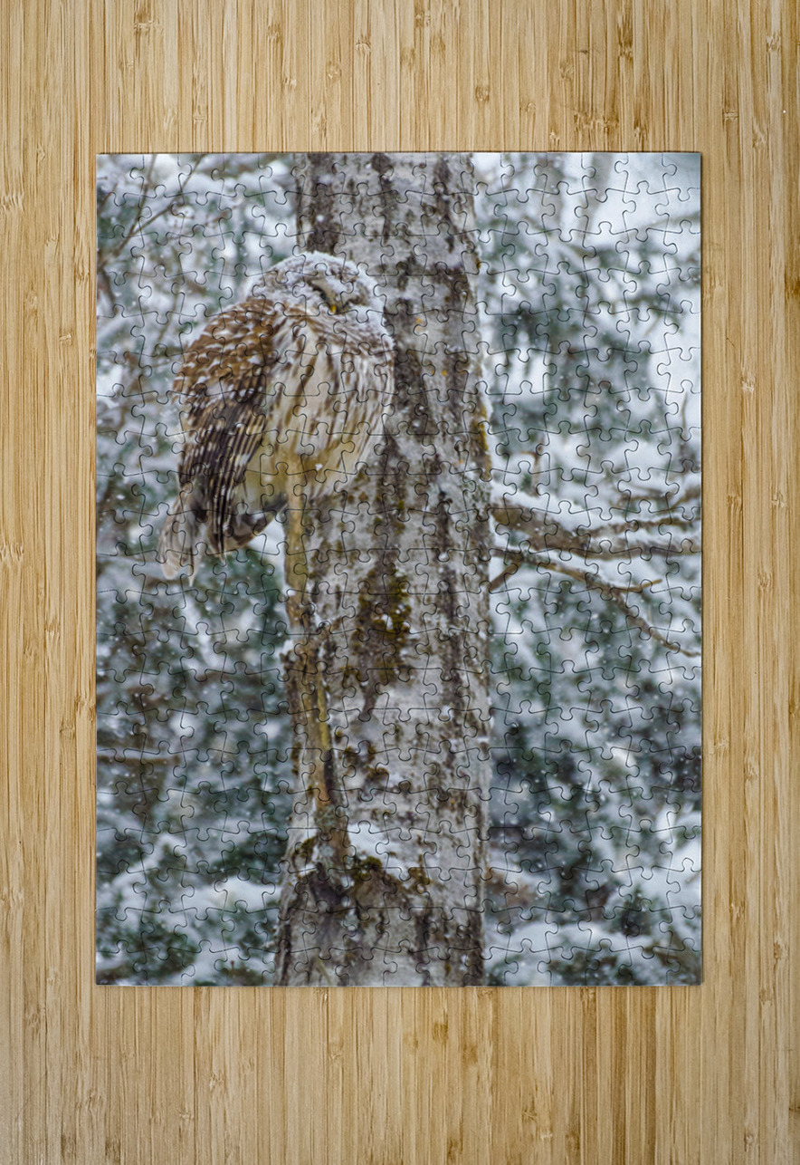 JBS 4998 James Shedden Photography Puzzle printing