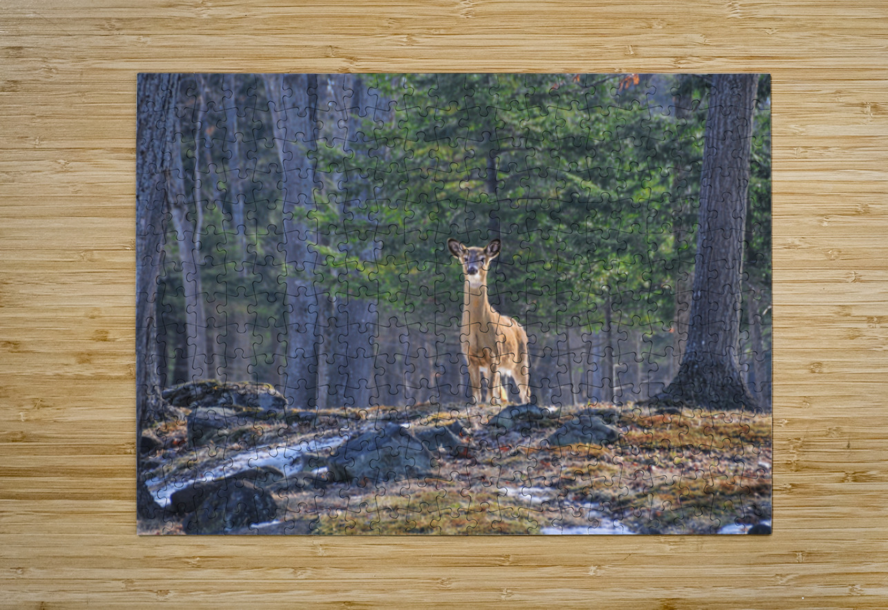 JBS 8417 James Shedden Photography Puzzle printing