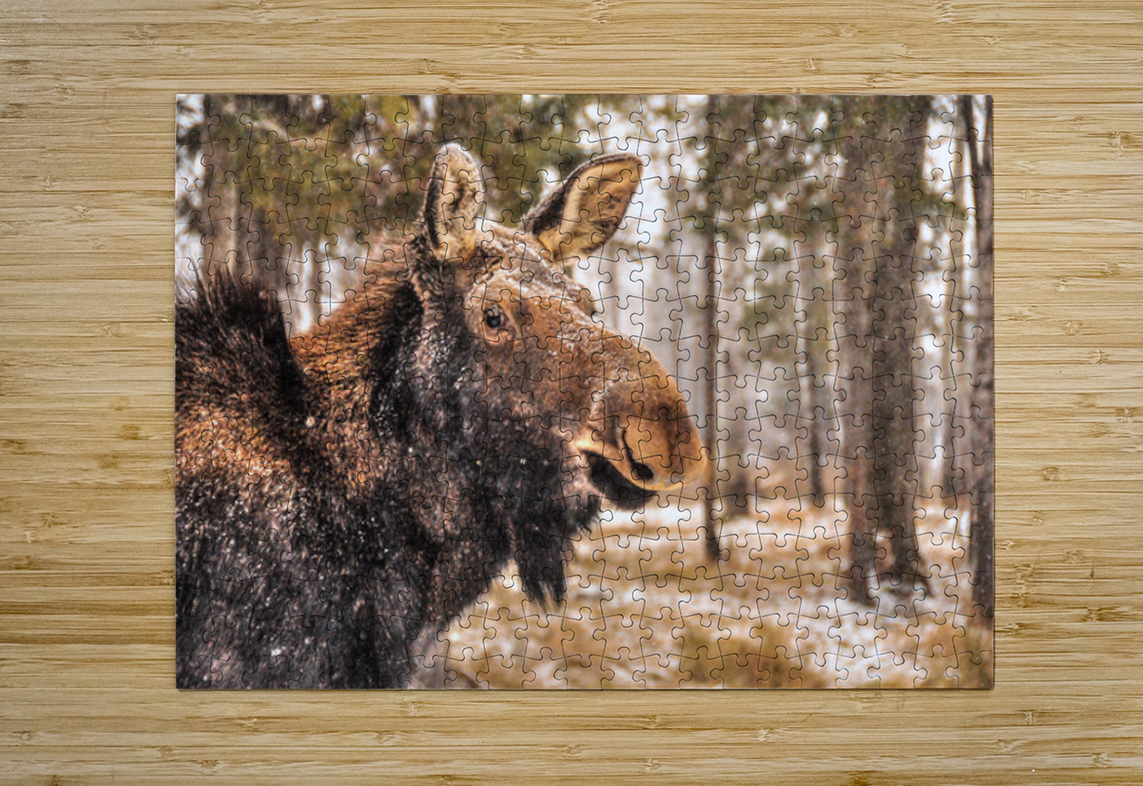 JBS 4902  James Shedden Photography Puzzle printing