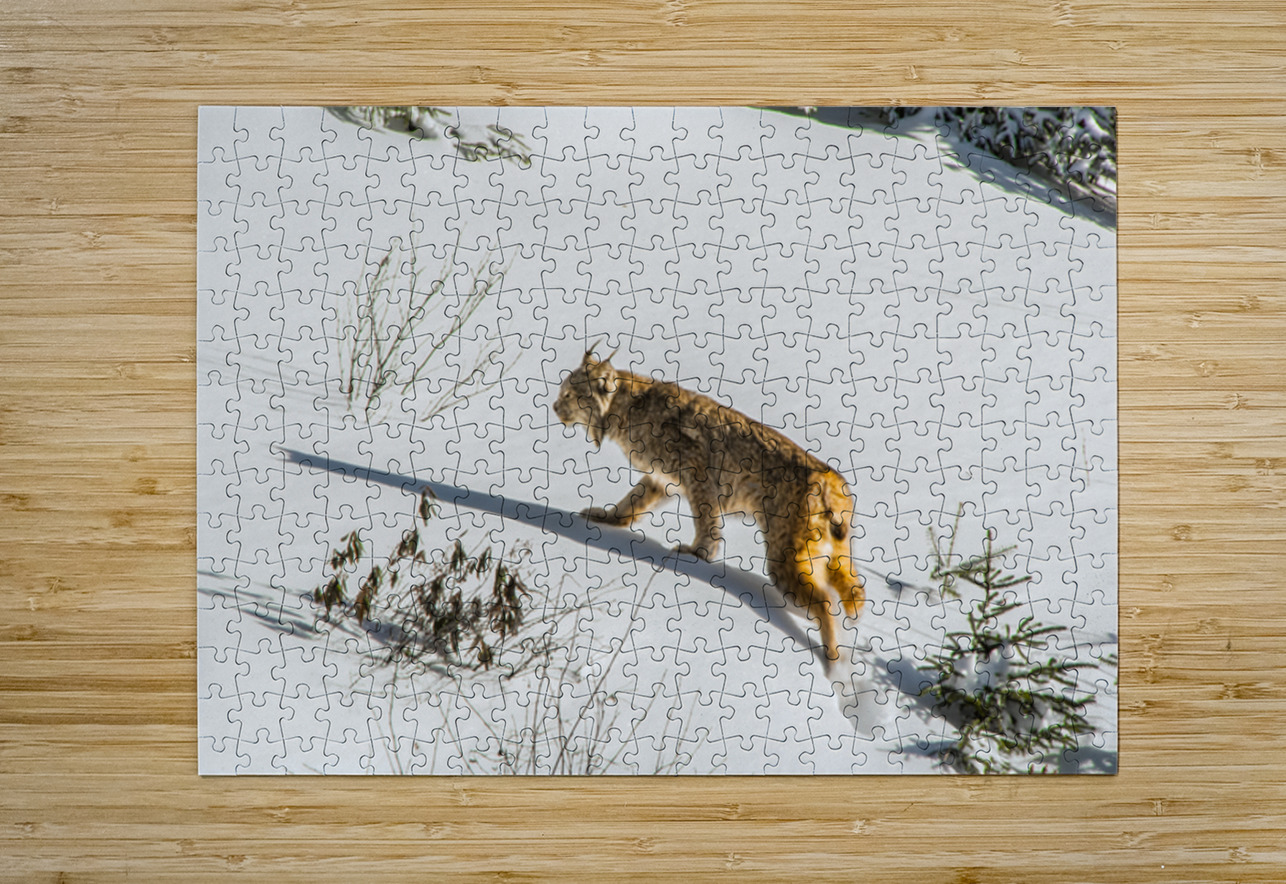 JBS 8781 James Shedden Photography Puzzle printing