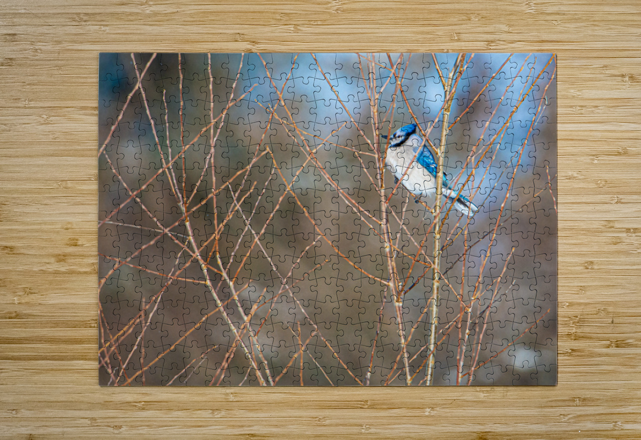 JBS 8279 James Shedden Photography Puzzle printing