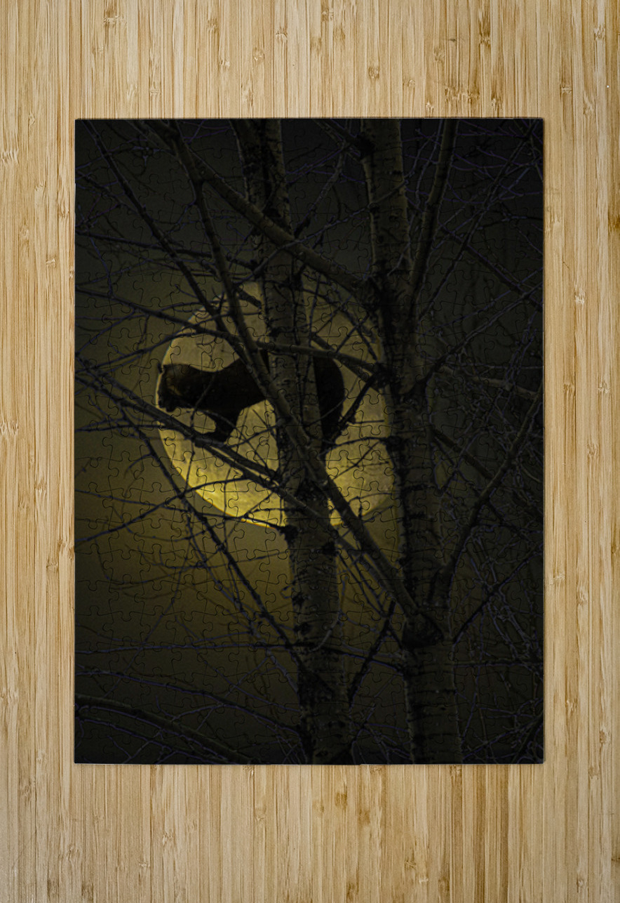 JBS 5294 2 James Shedden Photography Puzzle printing