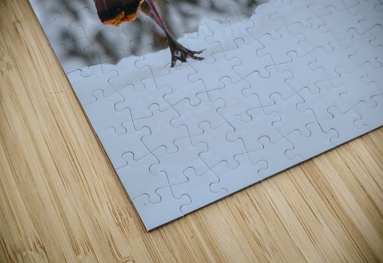 DSC 5553  James Shedden Photography Puzzle