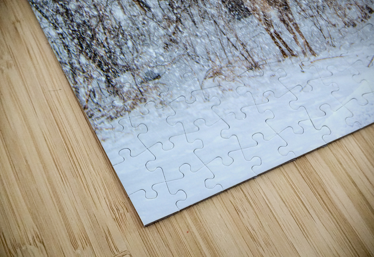 JBS 0383  James Shedden Photography Puzzle