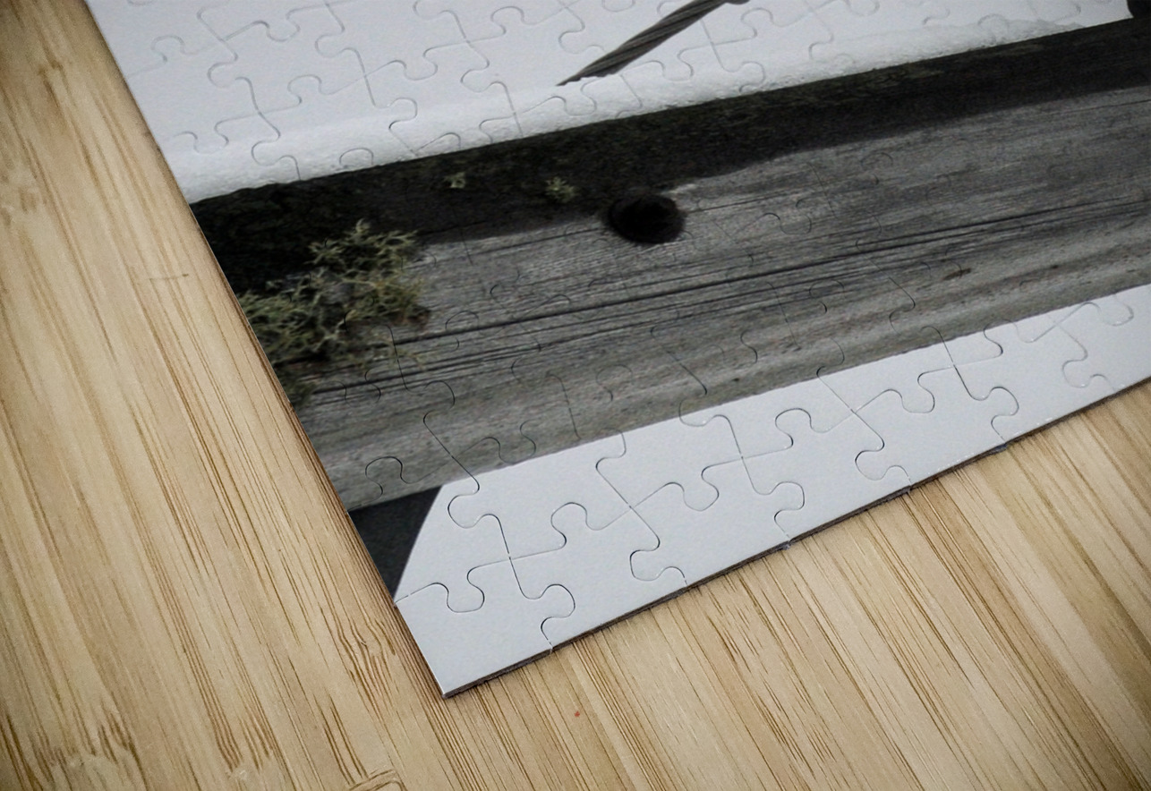 DSC 1902  James Shedden Photography Puzzle