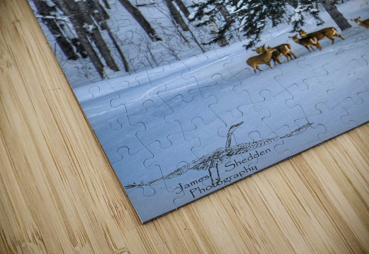 DSC 5638  James Shedden Photography Puzzle