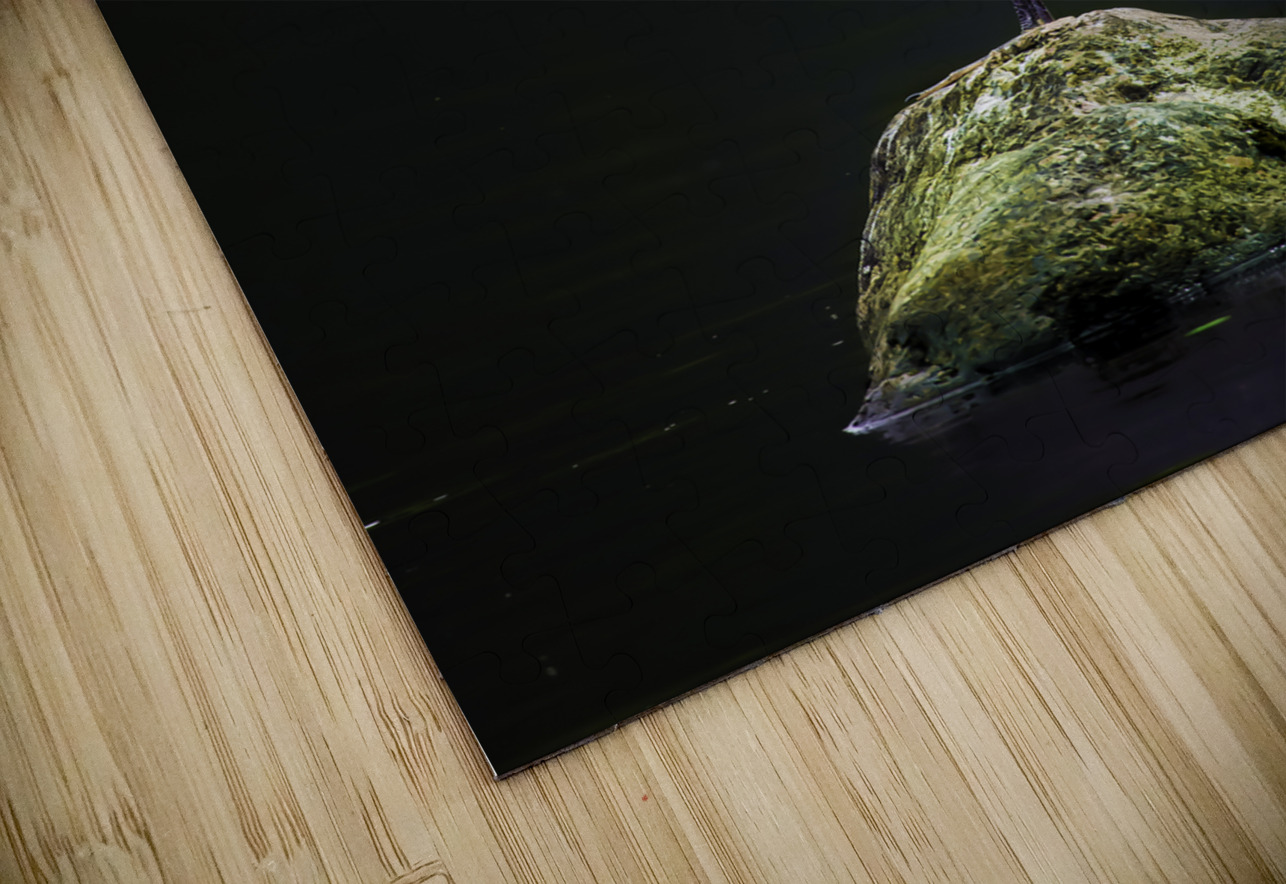 JBS 1706 2 James Shedden Photography Puzzle