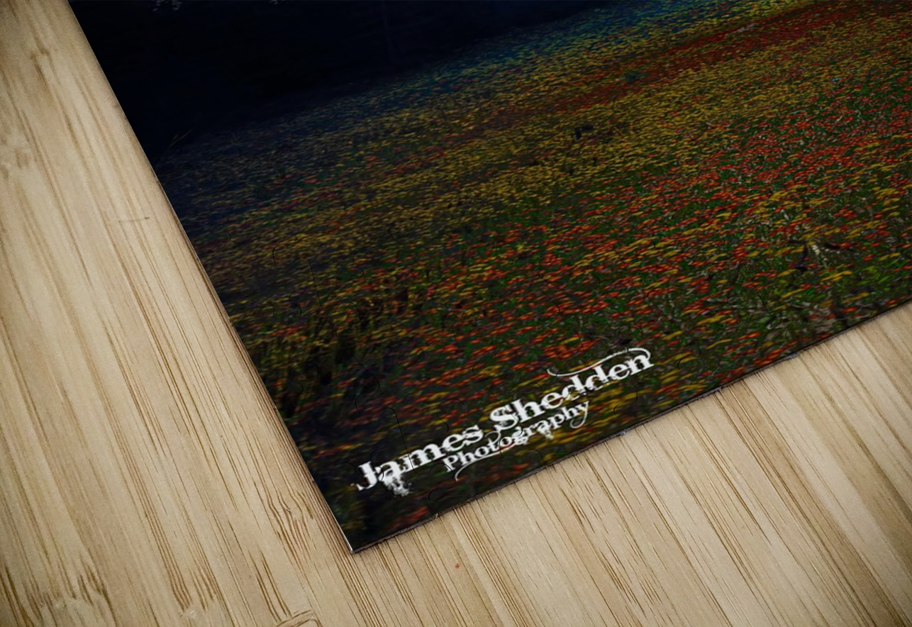 JBS 4834  James Shedden Photography Puzzle