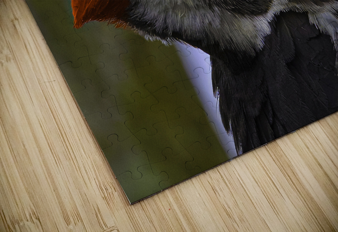 JBS 5301  James Shedden Photography Puzzle