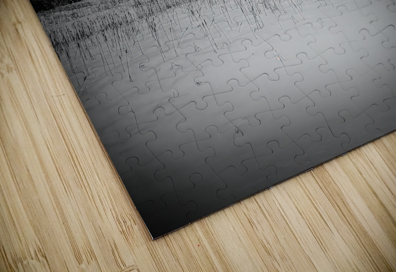 ZJS 9284 2  James Shedden Photography Puzzle