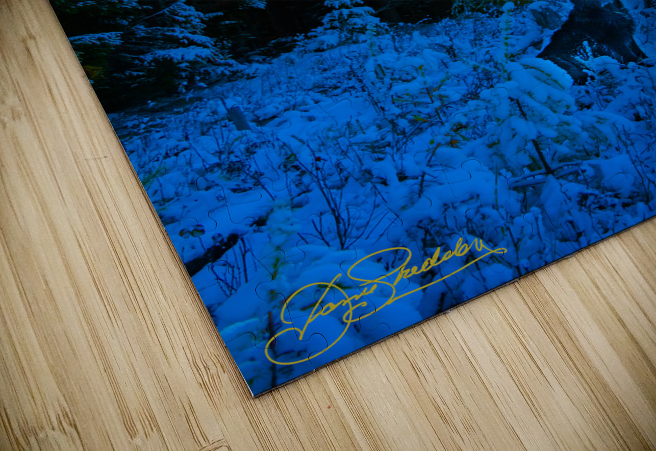 JBS 4968  James Shedden Photography Puzzle