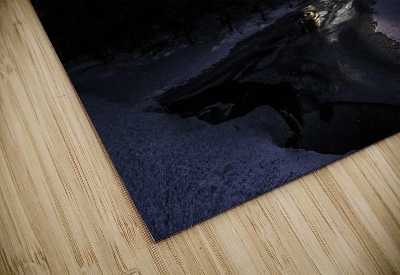 JBS 3445 James Shedden Photography Puzzle