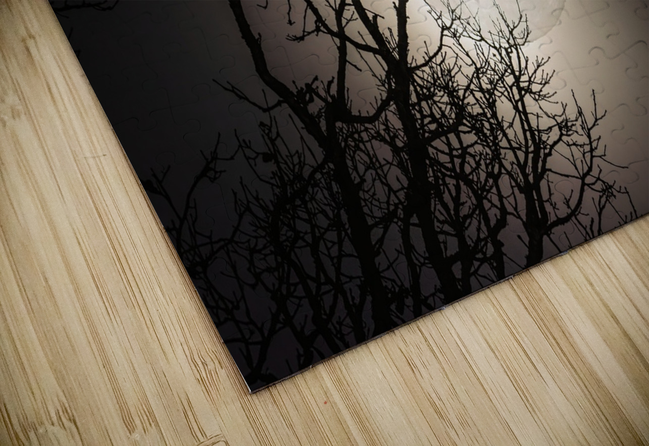 JBS 59702 James Shedden Photography Puzzle