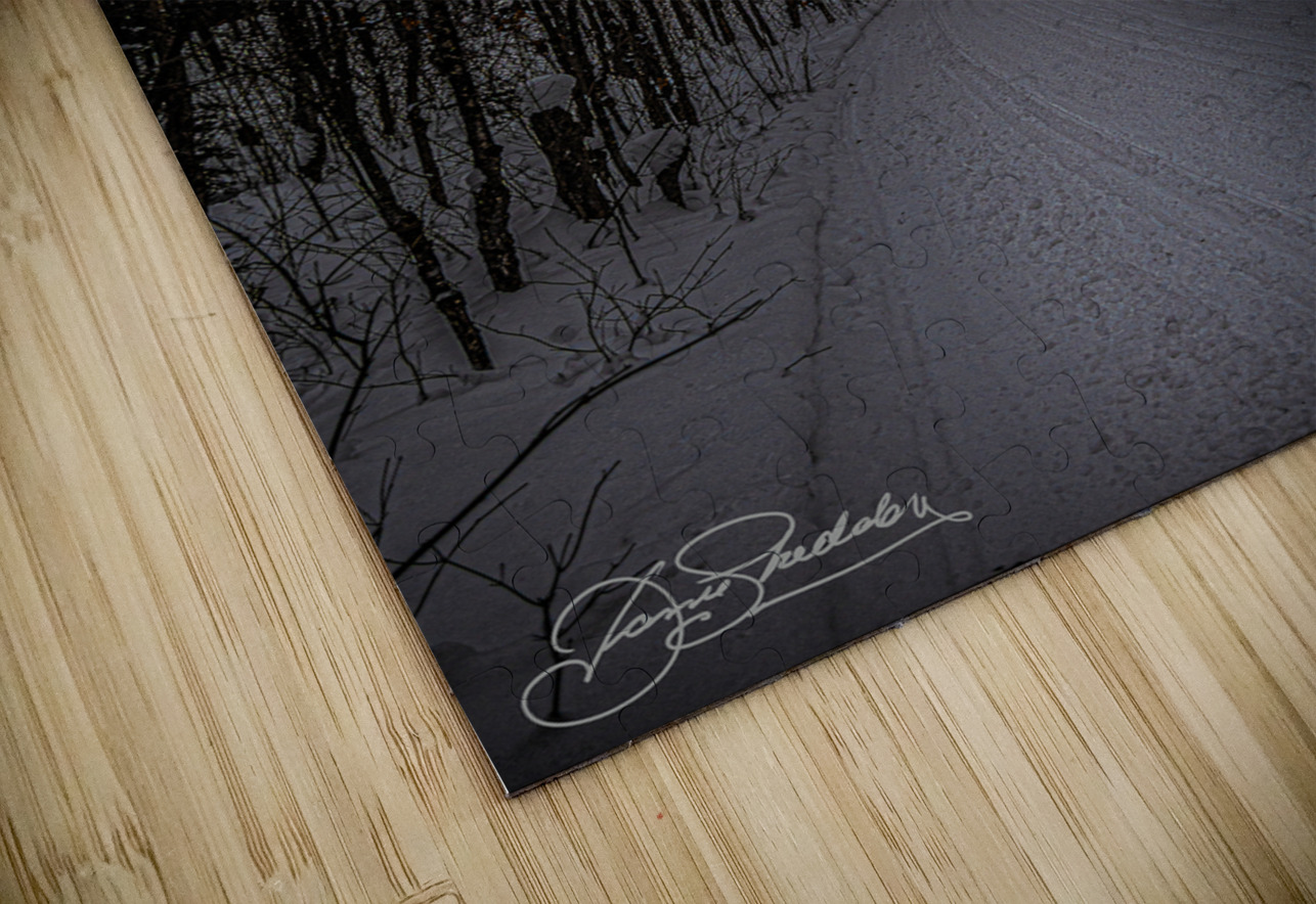 DSC 4177  James Shedden Photography Puzzle