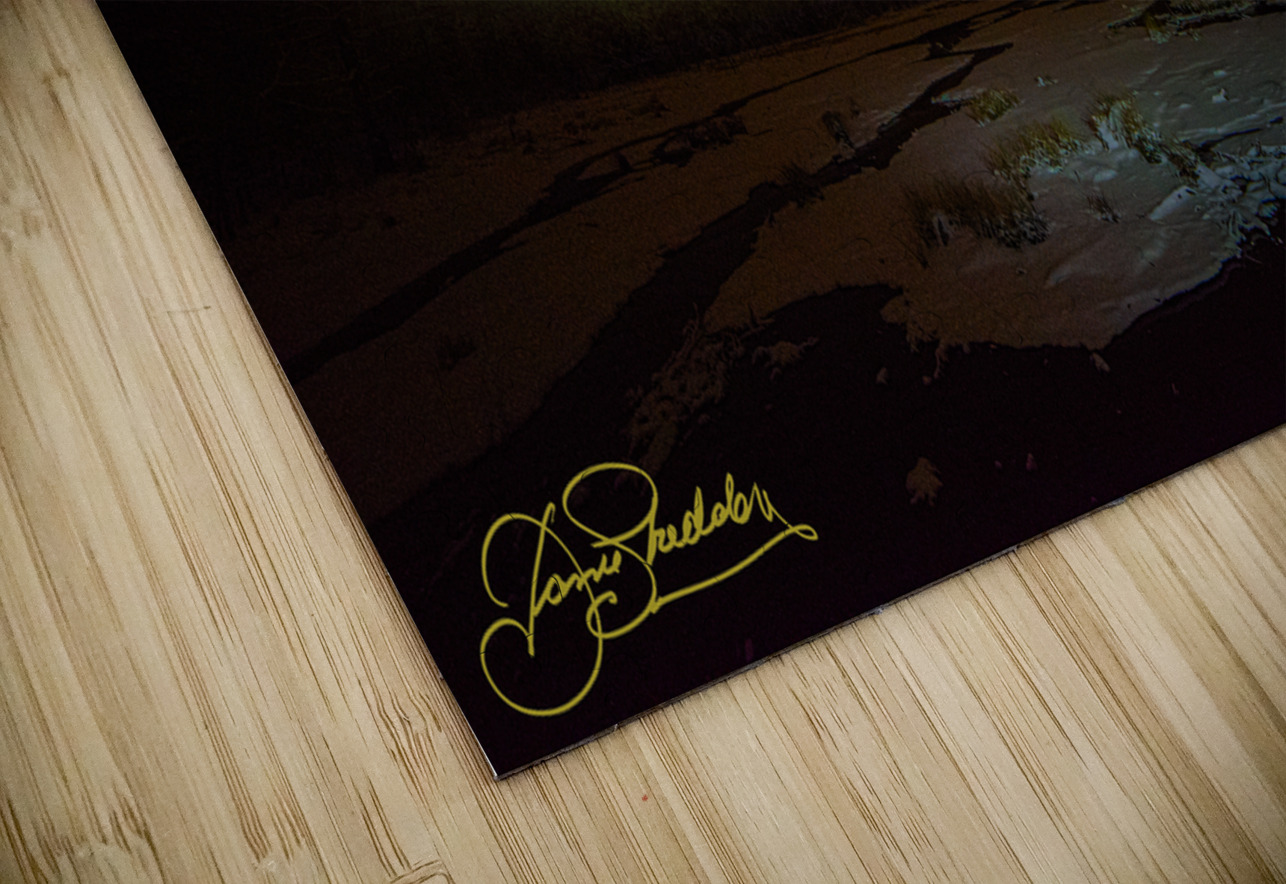 JBS 8015  James Shedden Photography Puzzle