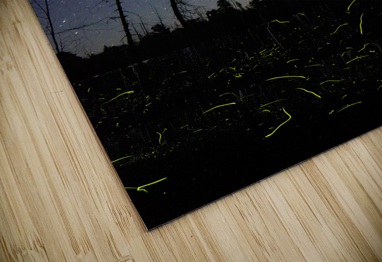 ff5 2 James Shedden Photography Puzzle