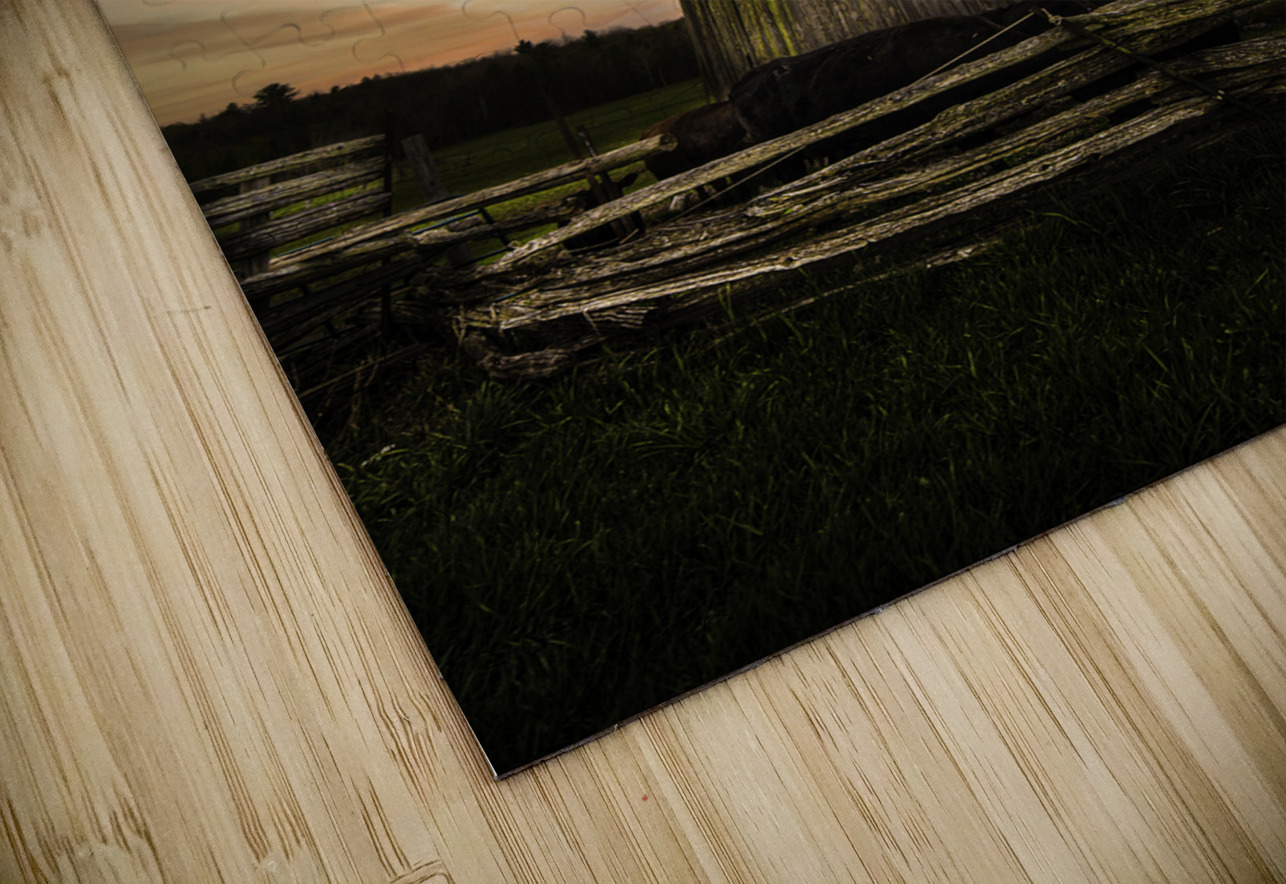 DSC 4632  James Shedden Photography Puzzle