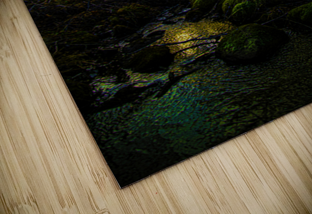 JBS 9682 James Shedden Photography Puzzle