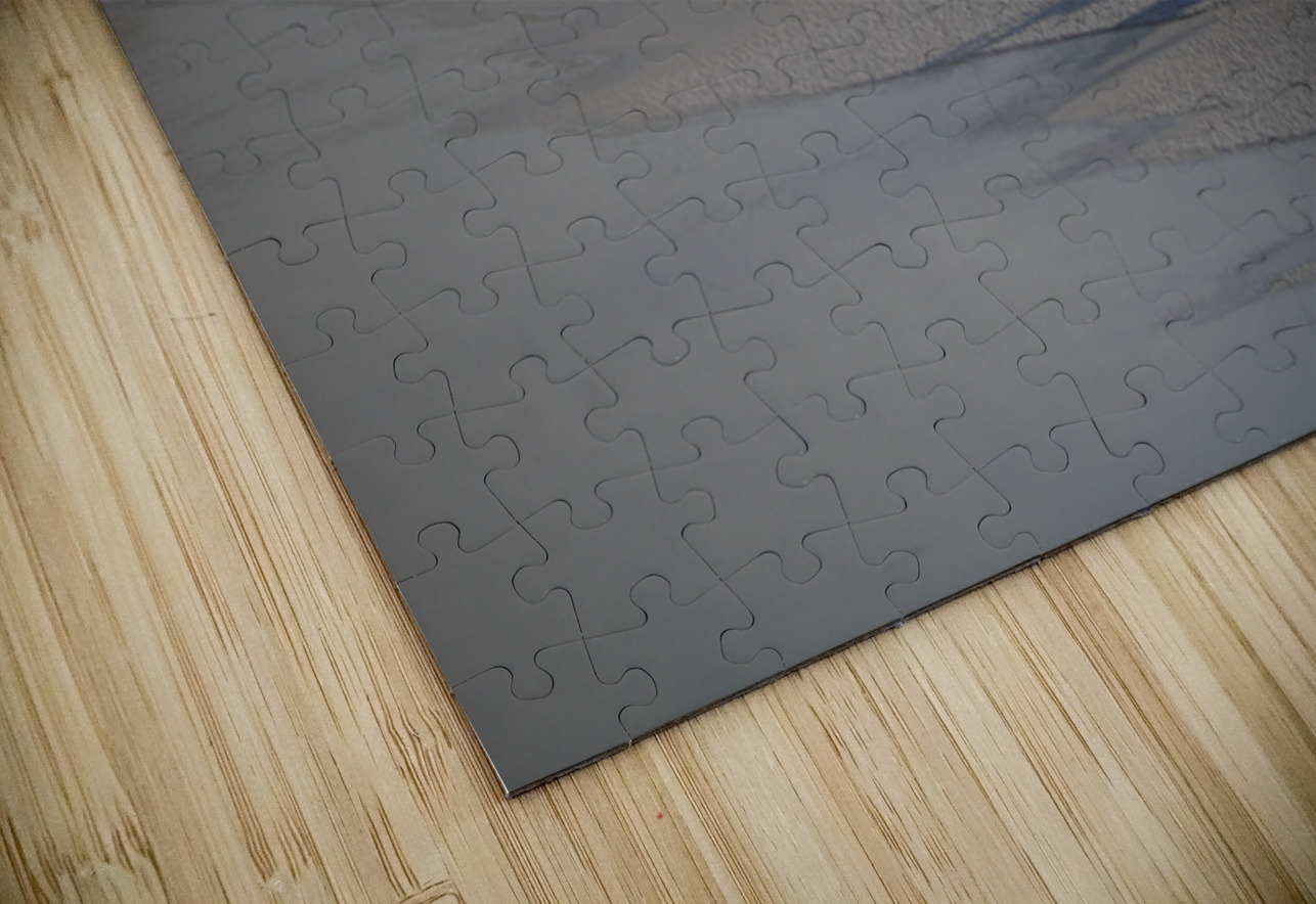 DSC 5806 James Shedden Photography Puzzle