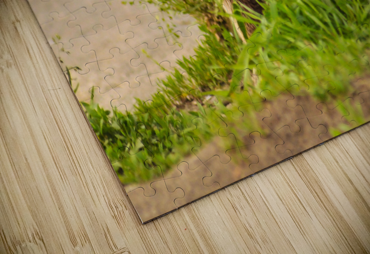 JBS 2864 James Shedden Photography Puzzle