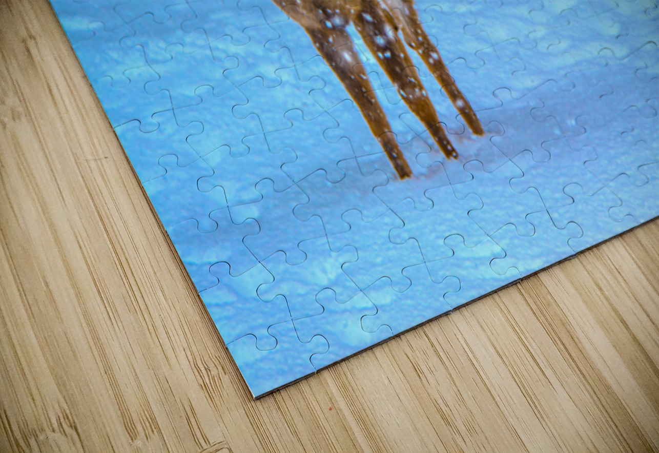 JBS 0395 James Shedden Photography Puzzle