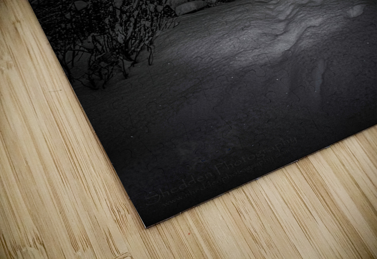 Z62 0237  James Shedden Photography Puzzle