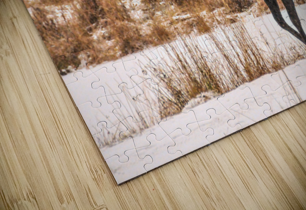 JBS 4996  James Shedden Photography Puzzle