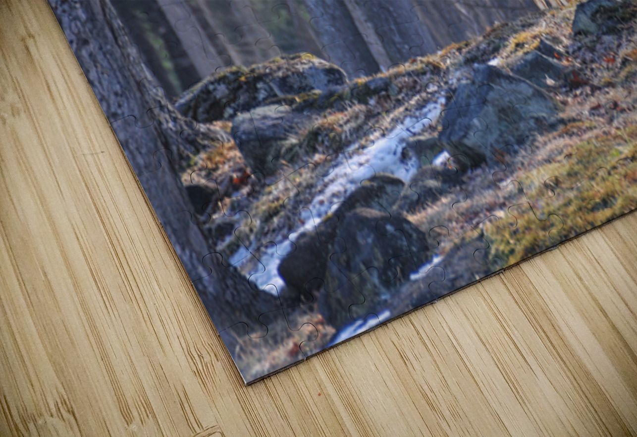 JBS 8417 James Shedden Photography Puzzle