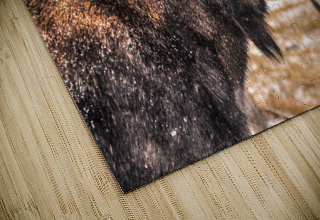 JBS 4902  James Shedden Photography Puzzle