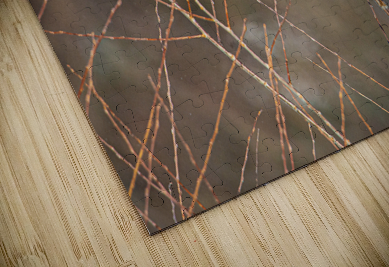 JBS 8279 James Shedden Photography Puzzle