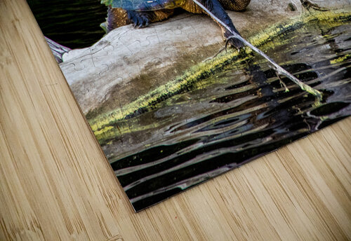 JBS 1007 James Shedden Photography puzzle