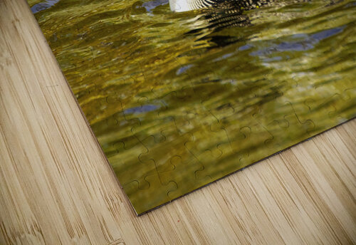 JBS 2224 James Shedden Photography puzzle