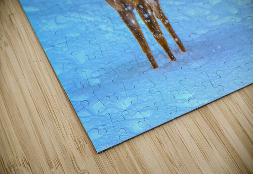 JBS 0395  James Shedden Photography puzzle