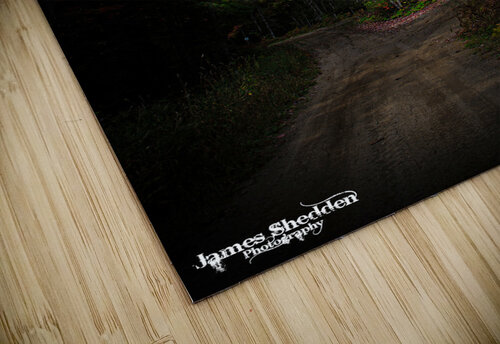 ZJS 8379  James Shedden Photography puzzle