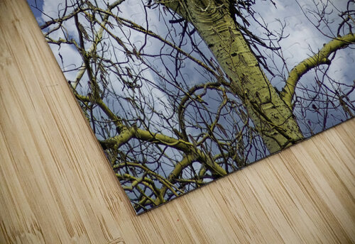 DSC 0059  James Shedden Photography puzzle