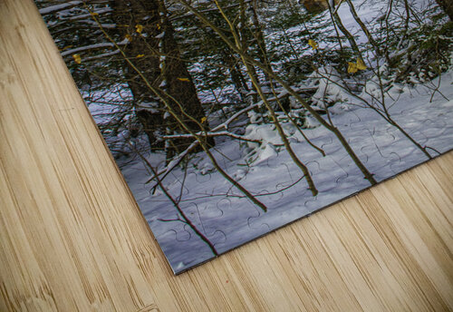 JBS 5217 James Shedden Photography puzzle