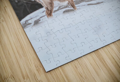 JBS 5494  James Shedden Photography puzzle