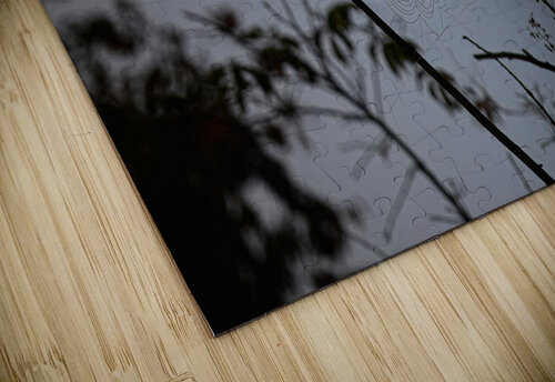 ZJS 8305  James Shedden Photography puzzle