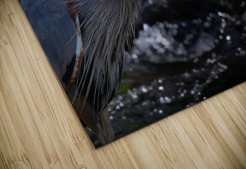 JBS 3493 2 James Shedden Photography puzzle