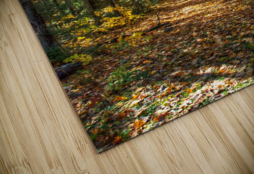 JBS 7125  James Shedden Photography puzzle